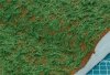 Tamiya 87111 Diorama Texture Paint (Grass Effect, Green) 